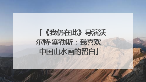 《我仍在此》导演沃尔特·塞勒斯：我喜欢中国山水画的留白