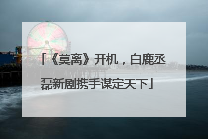 《莫离》开机，白鹿丞磊新剧携手谋定天下