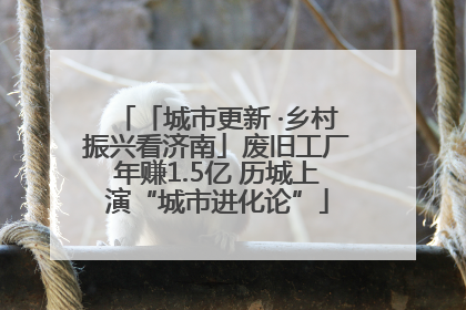 「城市更新 ·乡村振兴看济南」废旧工厂年赚1.5亿 历城上演“城市进化论”