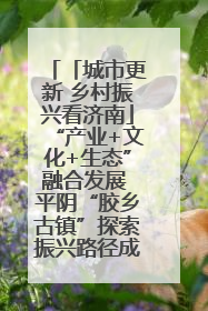 「城市更新 乡村振兴看济南」“产业+文化+生态”融合发展 平阴“胶乡古镇”探索振兴路径成效显著