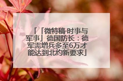 「微特稿·时事与军事」德国防长：德军需增兵多至6万才能达到北约新要求