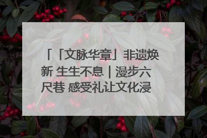「文脉华章」非遗焕新 生生不息｜漫步六尺巷 感受礼让文化浸润的“巷”往生活
