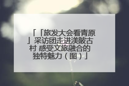 「旅发大会看青原」采访团走进渼陂古村 感受文旅融合的独特魅力（图）