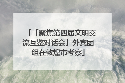 「聚焦第四届文明交流互鉴对话会」外宾团组在敦煌市考察