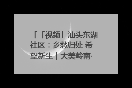 「视频」汕头东湖社区：乡愁归处 希望新生｜大美岭南·百村焕新记
