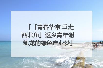 「青春华章·重走西北角」返乡青年谢凯龙的绿色产业梦