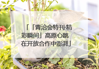 「青洽会特刊·精彩瞬间」高原心跳 在开放合作中澎湃
