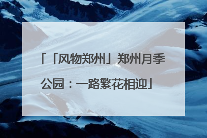 「风物郑州」郑州月季公园：一路繁花相迎