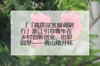 「高质量发展调研行」浙江引导青年在乡村创新创业、出彩圆梦——青山敞开怀 青年入乡来