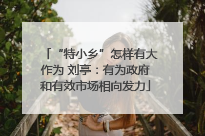 “特小乡”怎样有大作为 刘亭：有为政府和有效市场相向发力