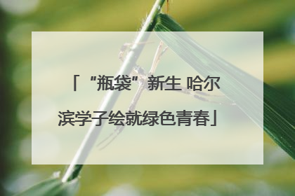 “瓶袋”新生 哈尔滨学子绘就绿色青春