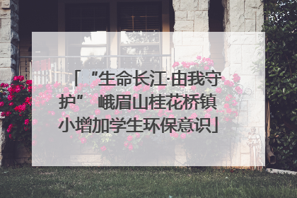 “生命长江·由我守护” 峨眉山桂花桥镇小增加学生环保意识