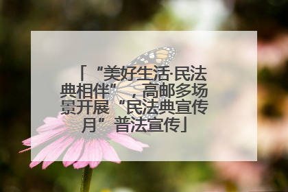 “美好生活·民法典相伴”，高邮多场景开展“民法典宣传月”普法宣传