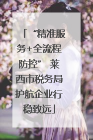 “精准服务+全流程防控” 莱西市税务局护航企业行稳致远