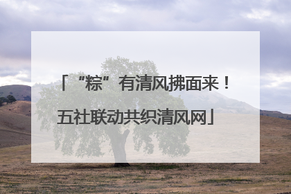 “粽”有清风拂面来！五社联动共织清风网