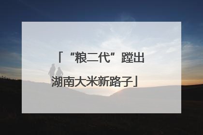 “粮二代”蹚出湖南大米新路子
