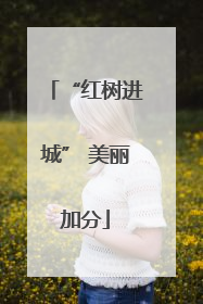 “红树进城” 美丽加分
