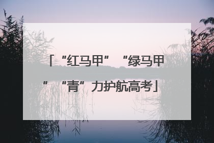 “红马甲”“绿马甲”“青”力护航高考