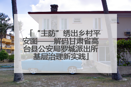 “主防”绣出乡村平安图——解码甘肃省高台县公安局罗城派出所基层治理新实践