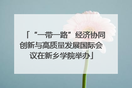 “一带一路”经济协同创新与高质量发展国际会议在新乡学院举办
