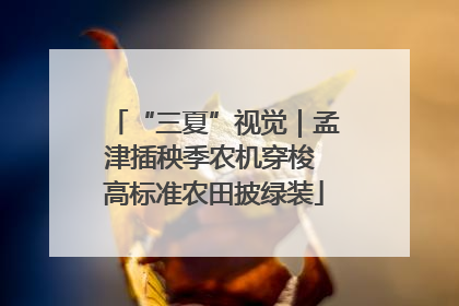 “三夏”视觉｜孟津插秧季农机穿梭 高标准农田披绿装