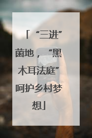“三进”菌地，“黑木耳法庭”呵护乡村梦想