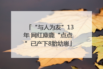 “与人为友”13年 网红麋鹿“点点”已产下8胎幼崽
