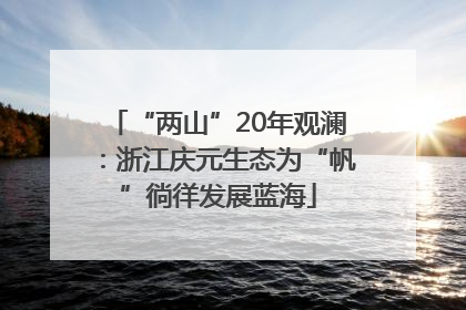 “两山”20年观澜：浙江庆元生态为“帆”徜徉发展蓝海