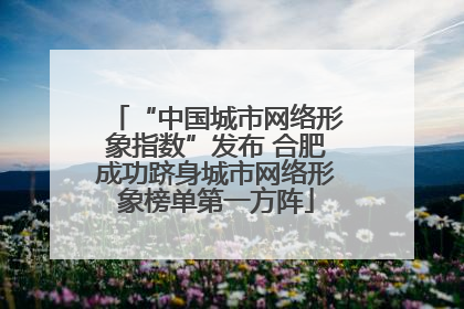 “中国城市网络形象指数”发布 合肥成功跻身城市网络形象榜单第一方阵