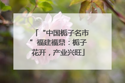 “中国栀子名市”福建福鼎：栀子花开，产业兴旺