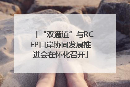 “双通道”与RCEP口岸协同发展推进会在怀化召开