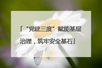 “党建三度”赋能基层治理，筑牢安全基石