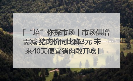 “培”你探市场｜市场供增需减 猪肉价同比降3元 未来40天便宜猪肉敞开吃