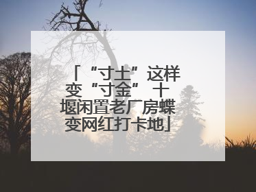 “寸土”这样变“寸金” 十堰闲置老厂房蝶变网红打卡地