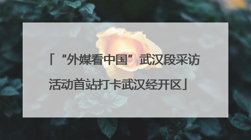 “外媒看中国”武汉段采访活动首站打卡武汉经开区
