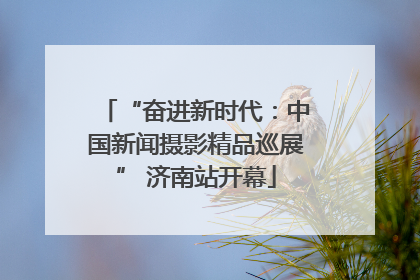 “奋进新时代：中国新闻摄影精品巡展” 济南站开幕