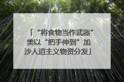 “将食物当作武器” 美以“把手伸到”加沙人道主义物资分发