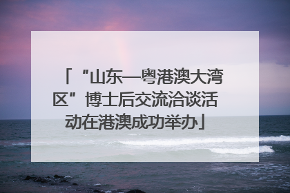 “山东—粤港澳大湾区”博士后交流洽谈活动在港澳成功举办