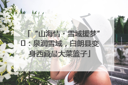 “山海情・雪域援梦”⑪：泉润雪域，白朗县变身西藏最大菜篮子