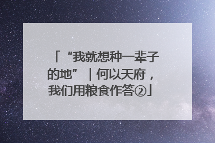 “我就想种一辈子的地”｜何以天府，我们用粮食作答②