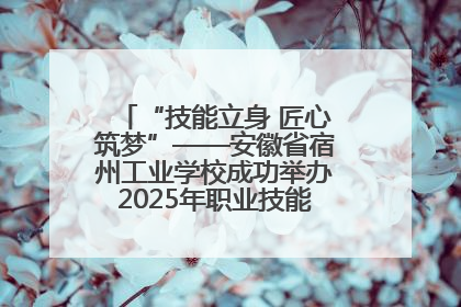 “技能立身 匠心筑梦”——安徽省宿州工业学校成功举办2025年职业技能活动周各项活动