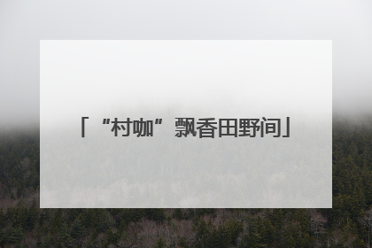 “村咖”飘香田野间