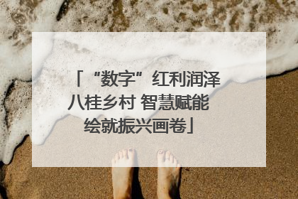 “数字”红利润泽八桂乡村 智慧赋能绘就振兴画卷