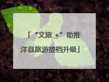 “文旅 +”助推洋县旅游提档升级