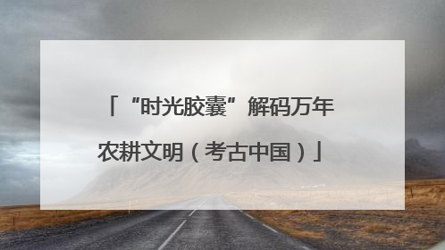 “时光胶囊”解码万年农耕文明（考古中国）