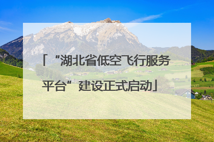 “湖北省低空飞行服务平台”建设正式启动