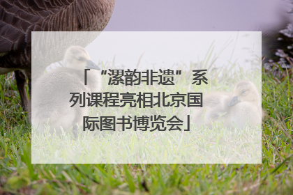 “漯韵非遗”系列课程亮相北京国际图书博览会