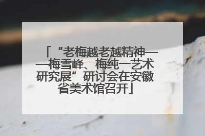 “老梅越老越精神——梅雪峰、梅纯一艺术研究展”研讨会在安徽省美术馆召开