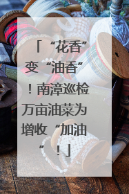 “花香”变“油香”！南漳巡检万亩油菜为增收“加油”！
