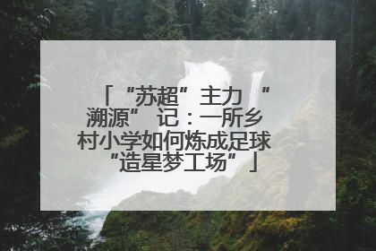 “苏超”主力 “溯源” 记：一所乡村小学如何炼成足球 “造星梦工场”